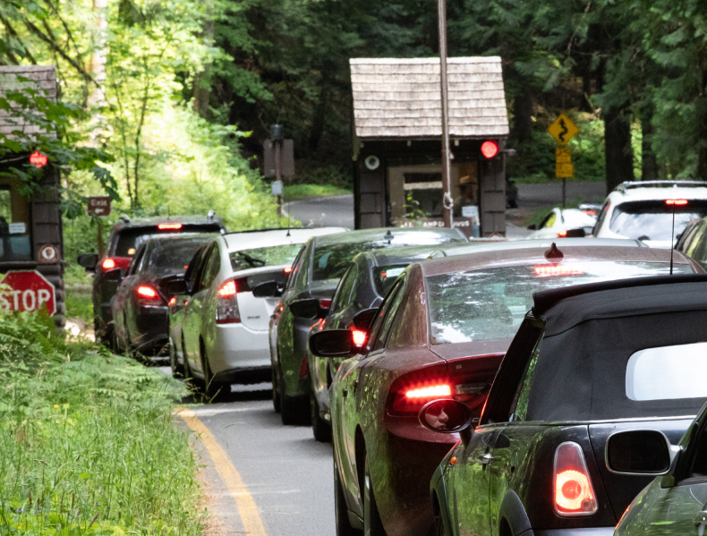 Congestion at Mount Rainier National Park